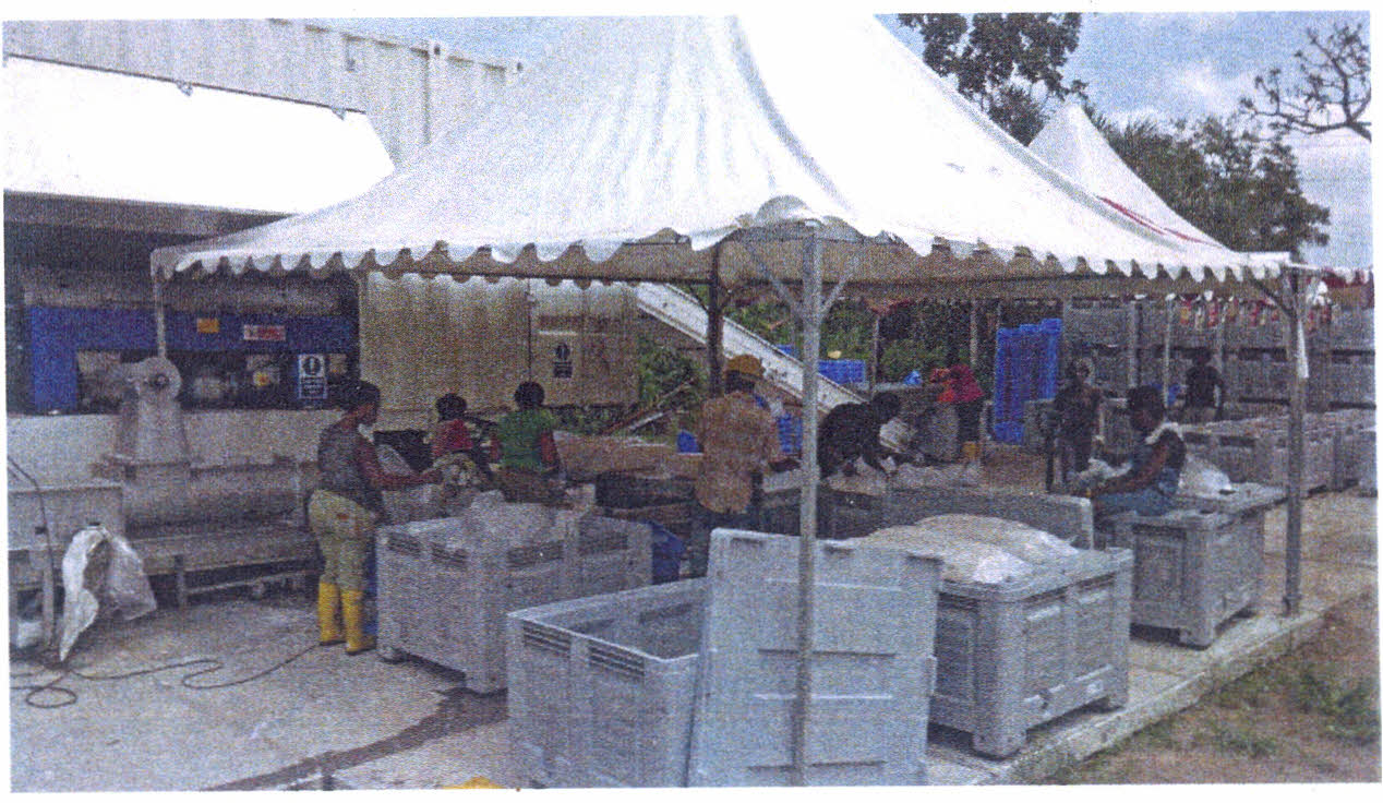 De mobiele cassavefabriek in actie in Golokuati 