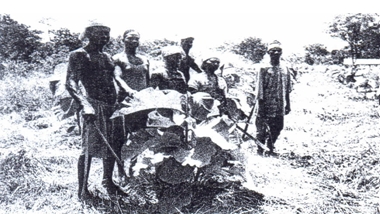 Bosbouw in het plaatsje Agbome 