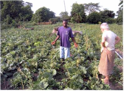 Stichting helphelpen nieuwsbrief juli 2011 03